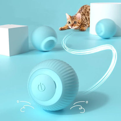 SmartBall® Juguete Para Gato