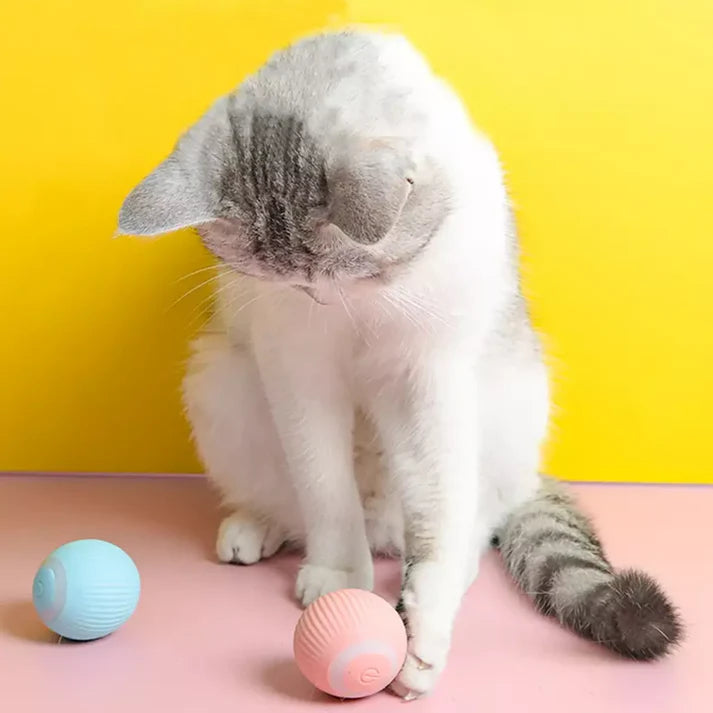 SmartBall® Juguete Para Gato